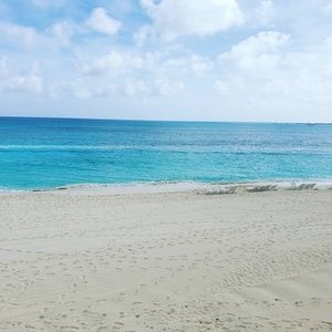 Meet your Posher, Dusty